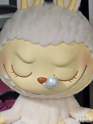 【見微知著】不會(huì)拍微距啊