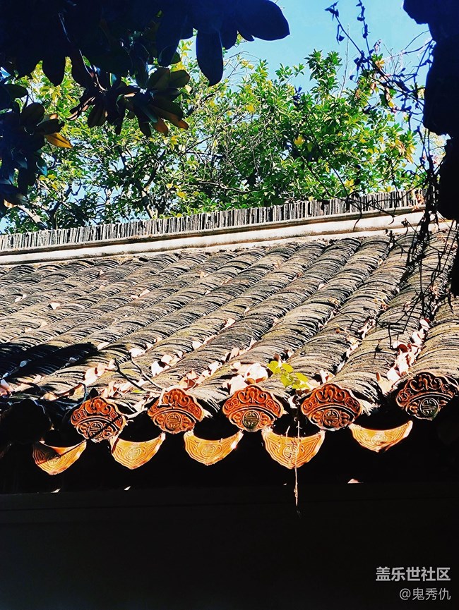 【秋暮冬初】照耀