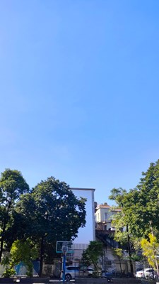 【如影隨形】陽光