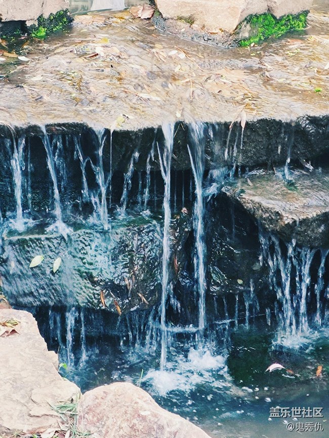 【新冬可期】未來可期