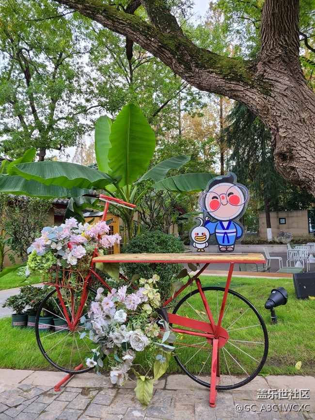 【秋暮冬初】寧?kù)o小院