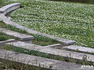 【如影隨形】+ 走哪拍哪