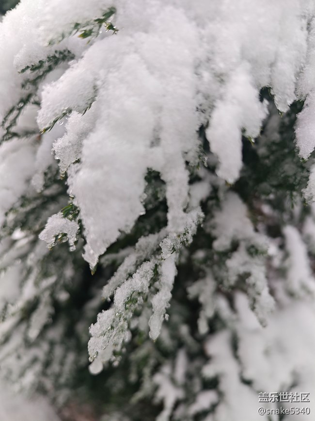 【人生是曠野】+晶瑩的雪