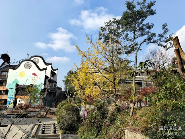 【人生是曠野】飛翔