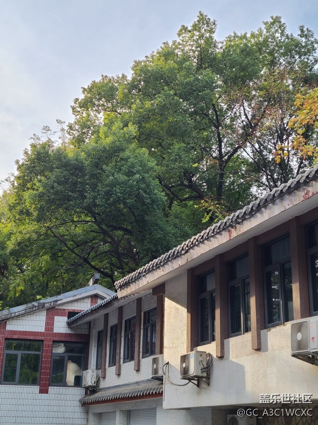 【秋暮冬初】寧?kù)o小院