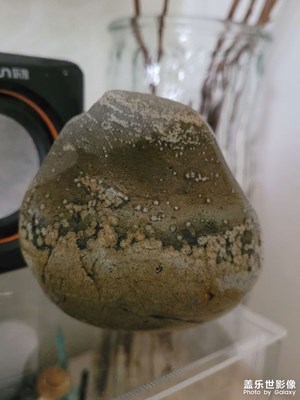 【見微知著】隨手拍