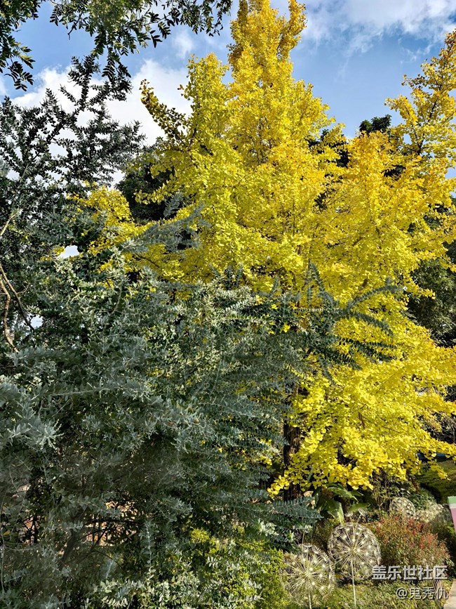 【人生是曠野】飛翔