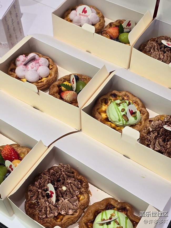 廈門星部落三星W25新機品鑒會活動回顧