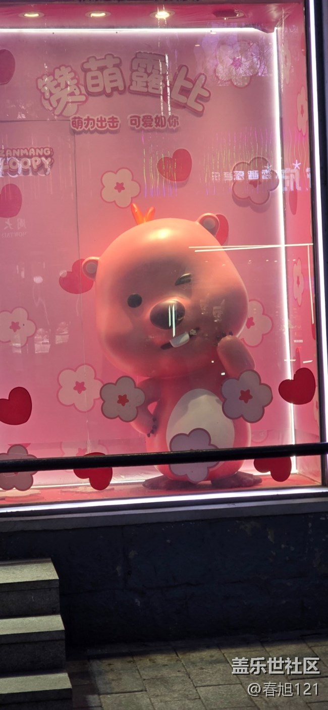 哈爾濱11月線下快閃活動