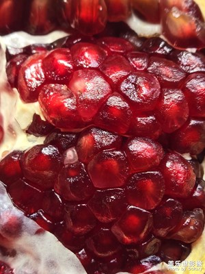 【見(jiàn)微知著】石榴