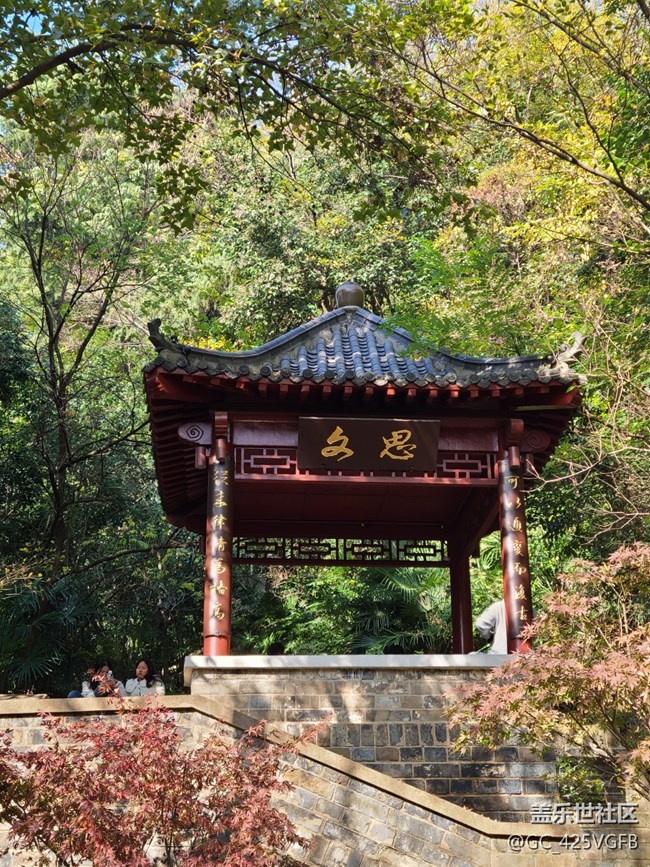 【秋暮冬初】初冬漫步