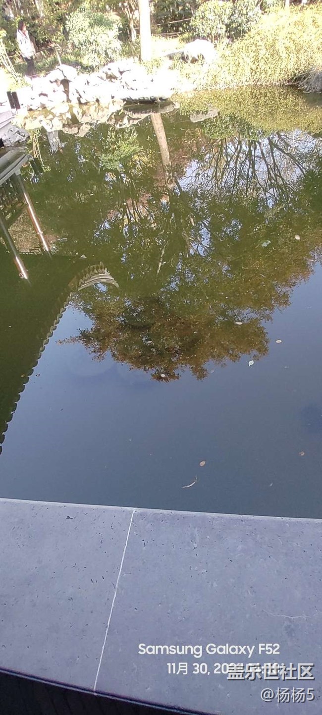 【秋霞圃線下攝影活動(dòng)】+活動(dòng)回顧