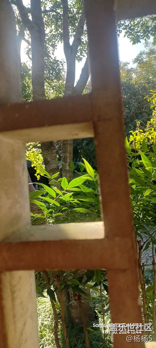 【秋霞圃線下攝影活動(dòng)】+活動(dòng)回顧