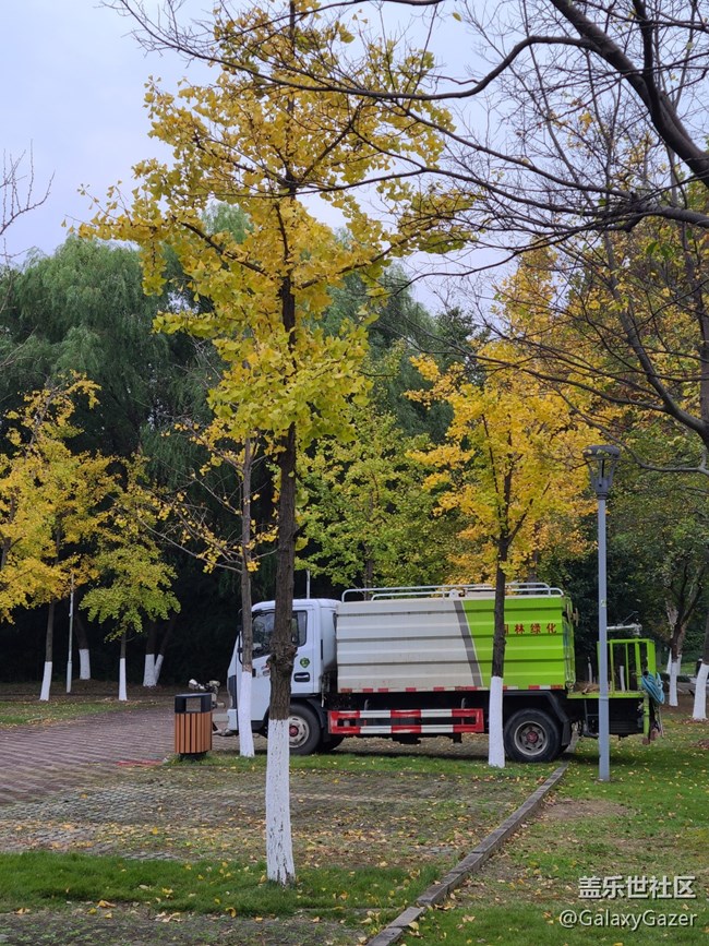 【秋暮冬初】銀杏落葉