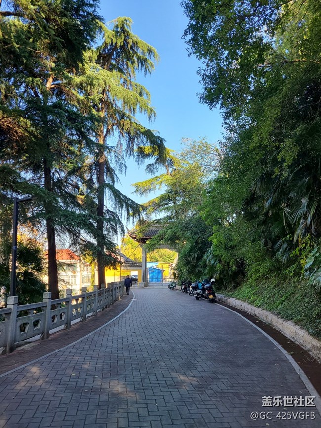 【初冬來】+初冬爬山