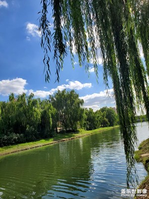 【見微知著】藍(lán)天白云