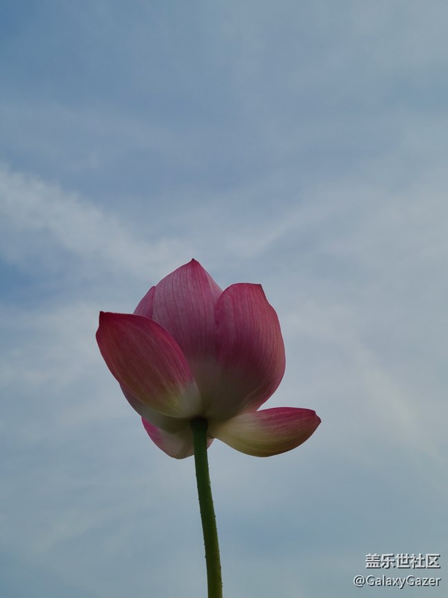 【Note手機里的春夏秋冬】+記憶中的夏天