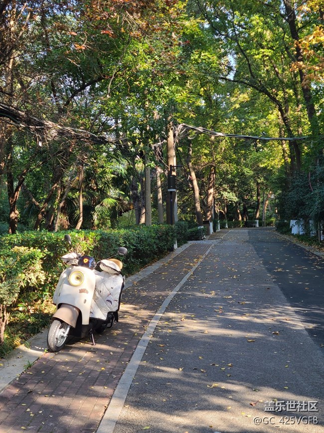 【初冬來】+初冬爬山