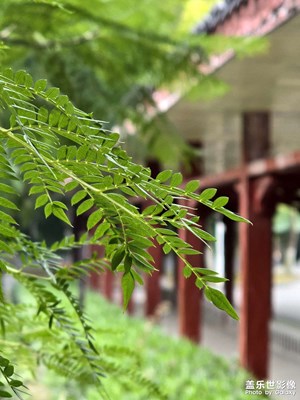 【見微知著 】Farewell November 