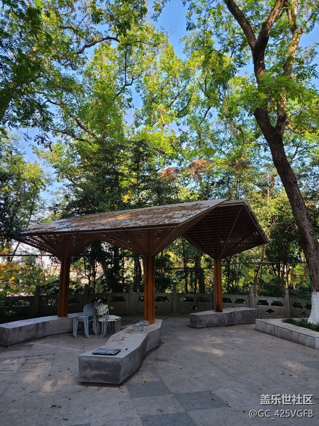 【秋暮冬初】初冬漫步