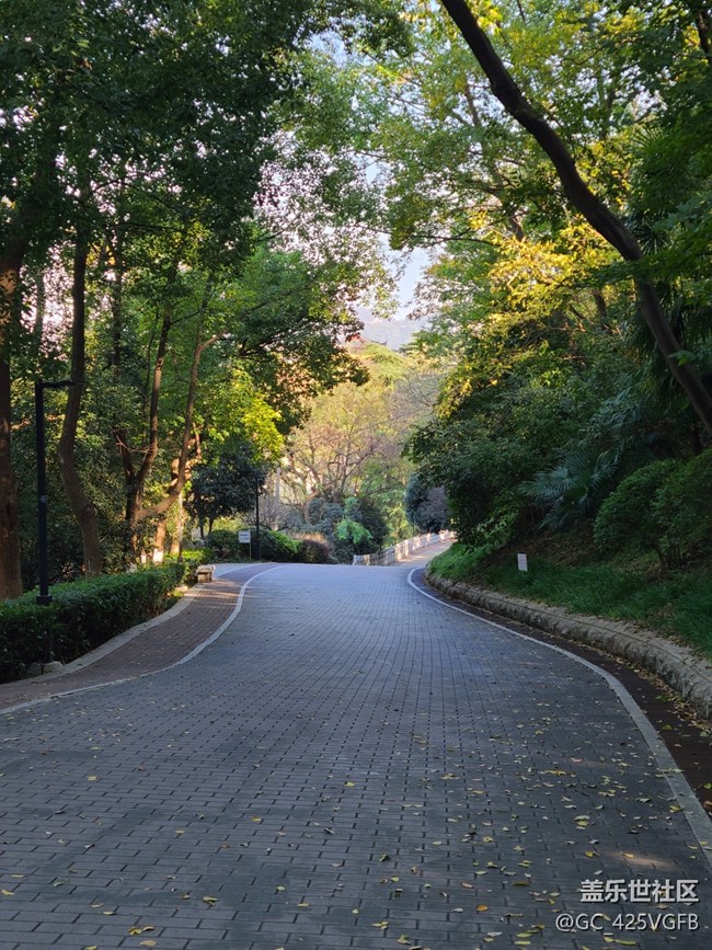 【秋暮冬初】初冬漫步