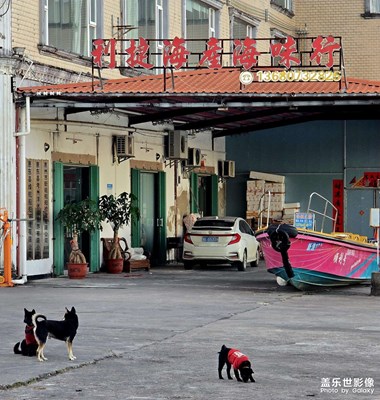 【如影隨形】+?碼頭晨曦