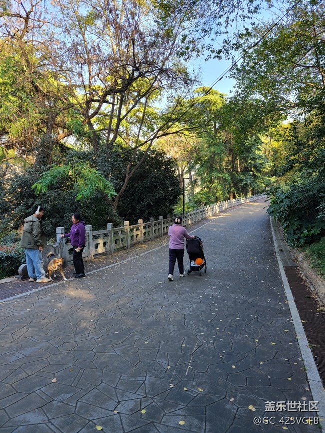 【秋暮冬初】初冬漫步