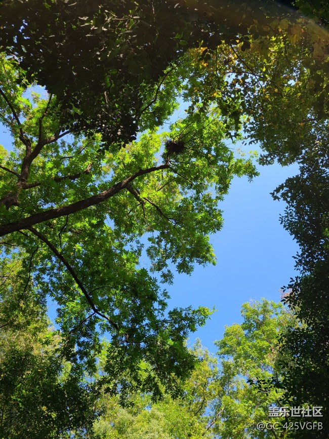 【秋暮冬初】初冬漫步