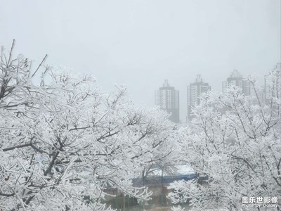 【見(jiàn)微知著】初冬霧凇（三）