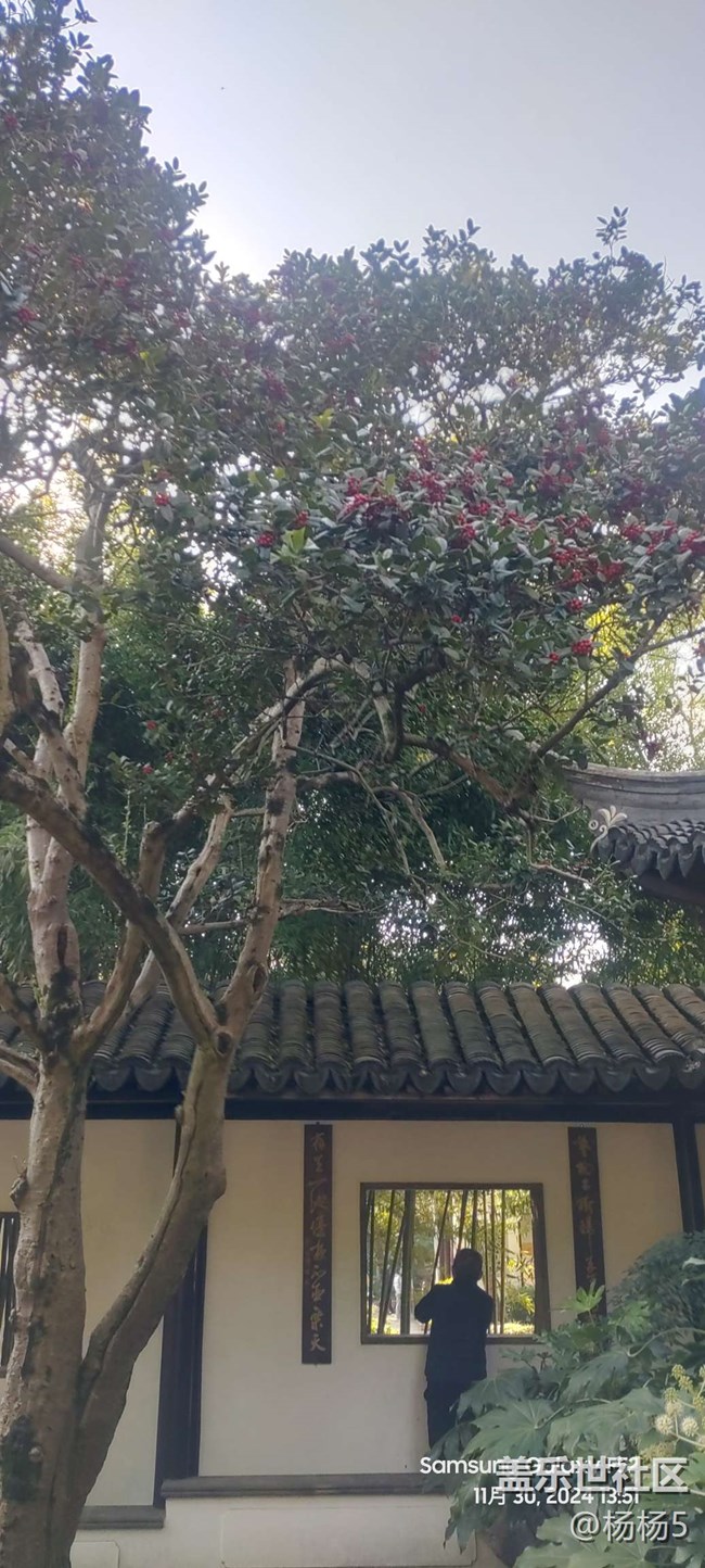 【秋霞圃線下攝影活動(dòng)】+活動(dòng)回顧