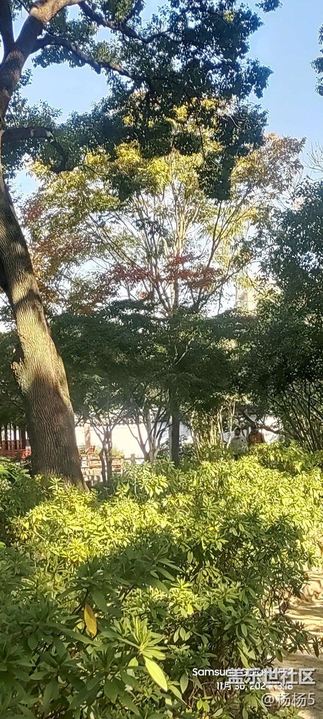 【秋霞圃線下攝影活動(dòng)】+活動(dòng)回顧