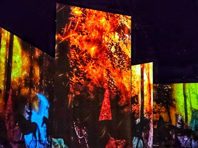 【如影隨形】+光影協(xié)奏