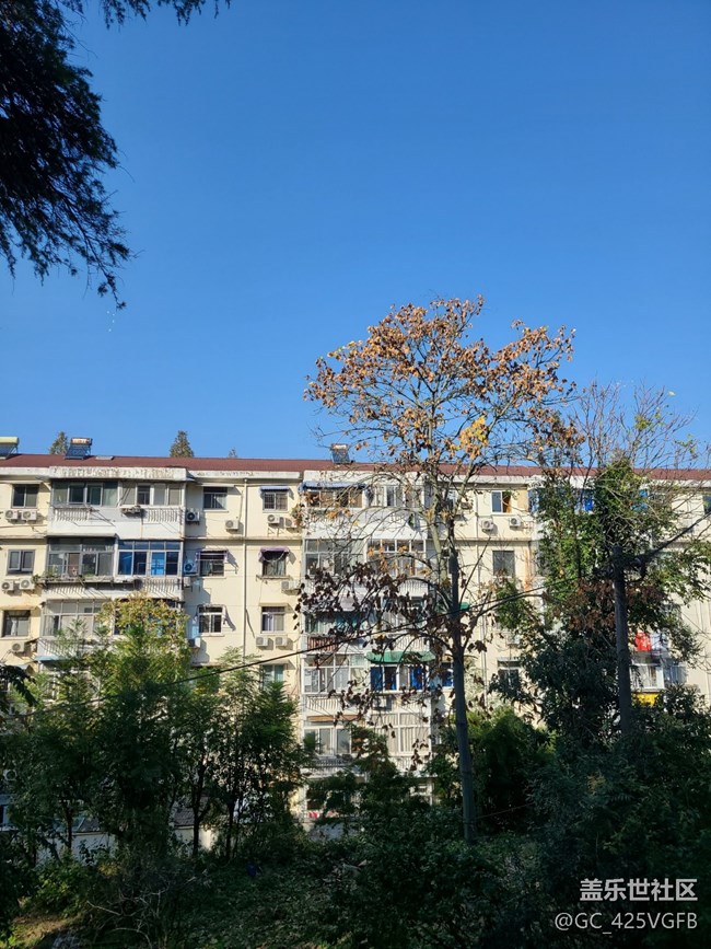 【初冬來】+初冬爬山