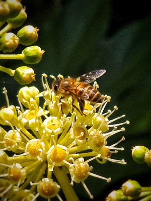 【見微知著】+和諧