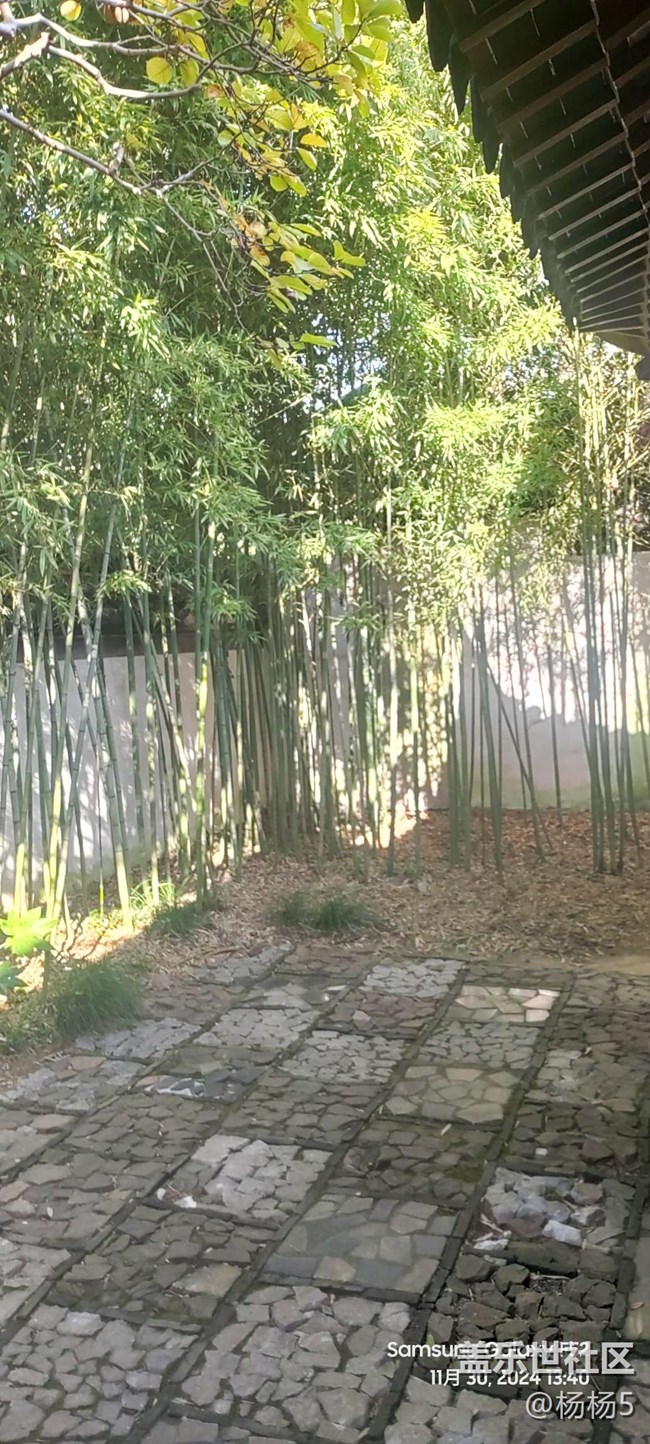 【秋霞圃線下攝影活動(dòng)】+活動(dòng)回顧