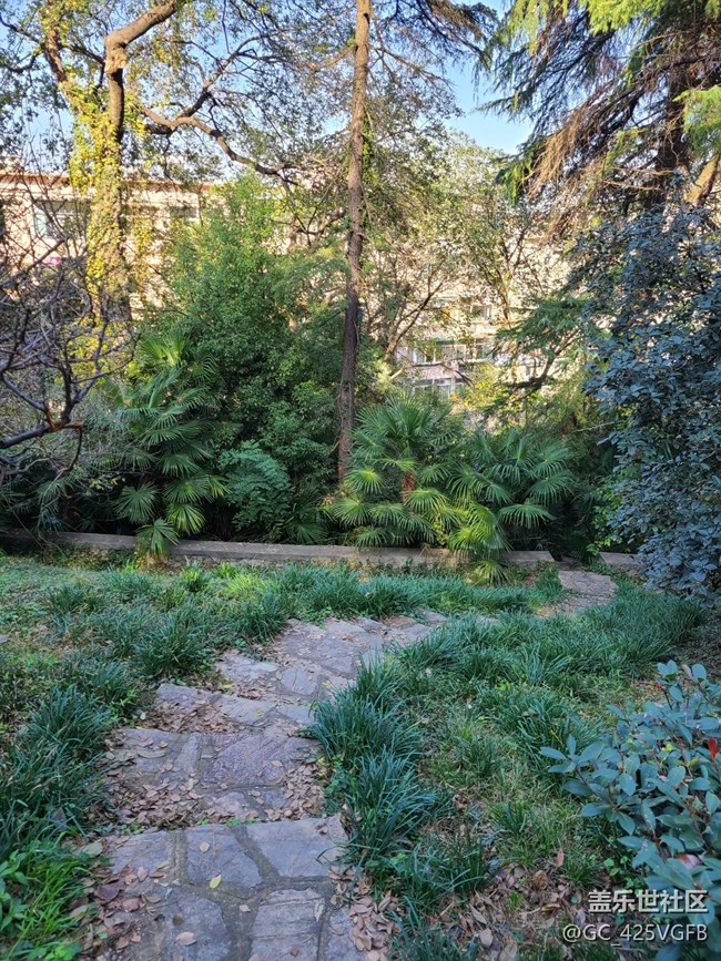 【初冬來】+初冬爬山