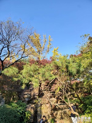 【如影隨形】+ 風(fēng)和日麗