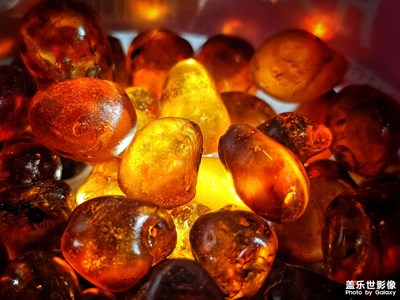 【見微知著 】 桃之夭夭，灼灼其華