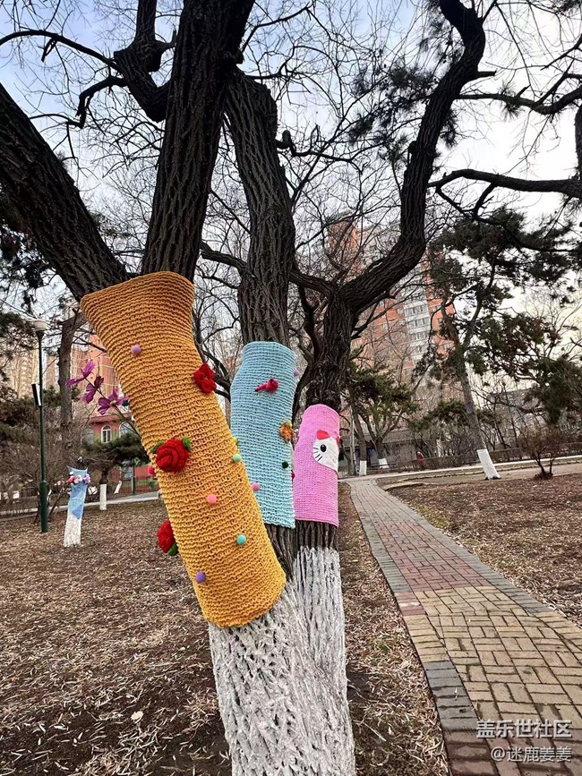 【回顧貼】這個(gè)冬天不太冷~和三星一起冬游南湖！