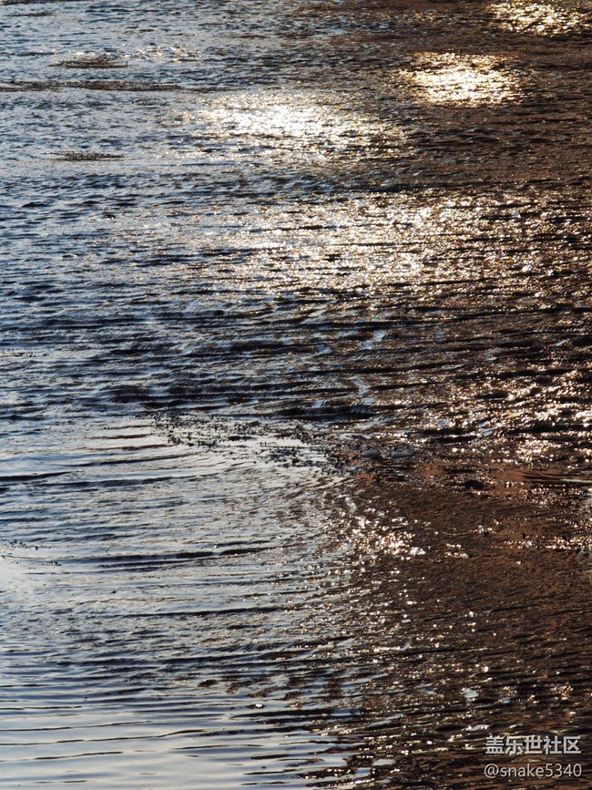 南湖公園攝影活動/回顧