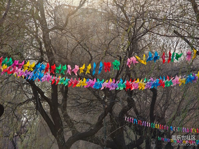 南湖公園攝影活動/回顧