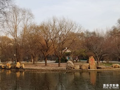 【見(jiàn)微知著】+近距離看城市