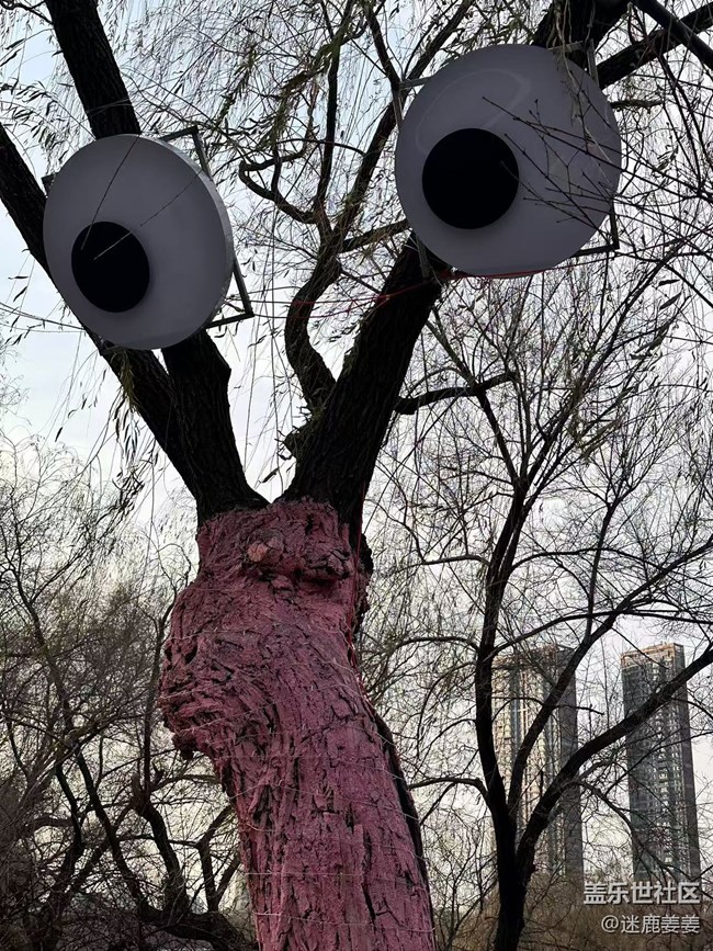 【回顧貼】這個(gè)冬天不太冷~和三星一起冬游南湖！