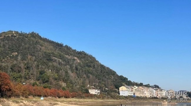 【金色回憶】紅松