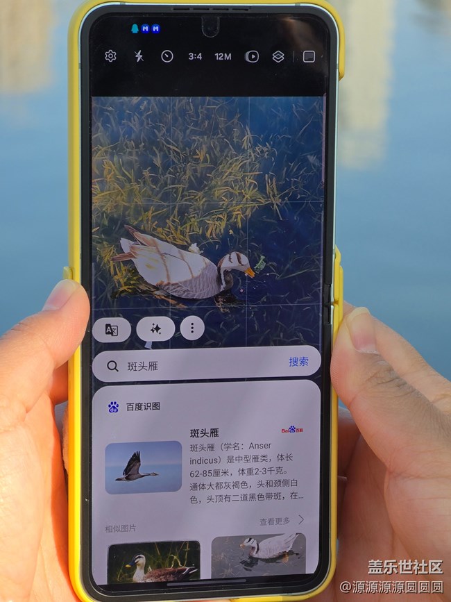 【武漢動(dòng)物園光影之旅】武漢星部落線(xiàn)下活動(dòng)總結(jié)帖