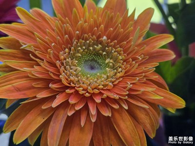 【見微知著】+寒冬凌亂