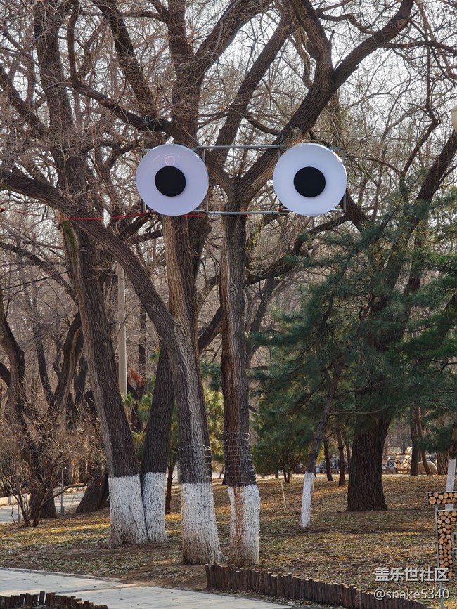 南湖公園攝影活動/回顧