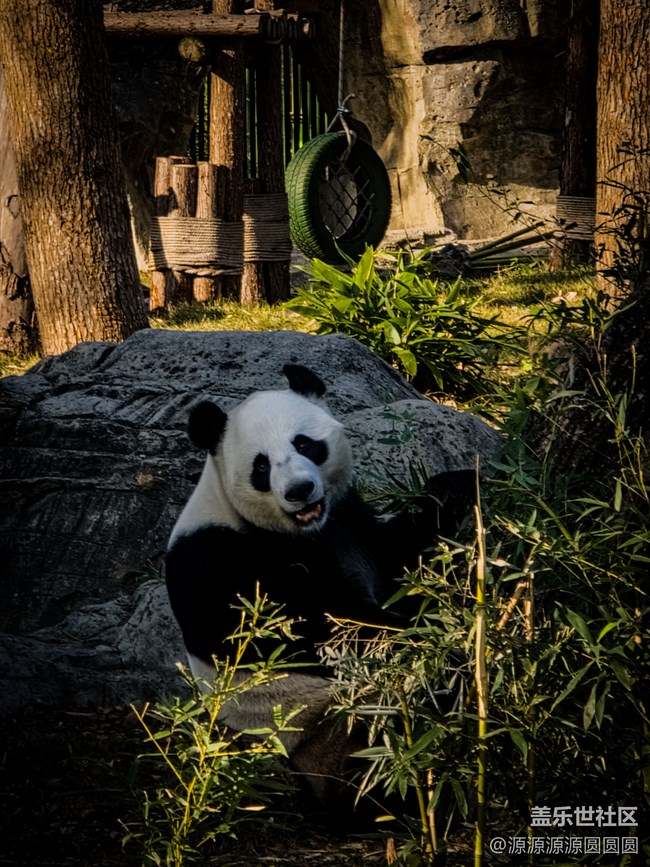 【武漢動(dòng)物園光影之旅】武漢星部落線(xiàn)下活動(dòng)總結(jié)帖