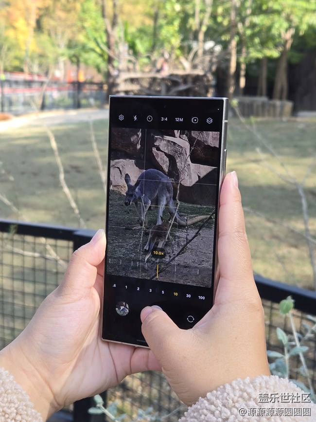 【武漢動(dòng)物園光影之旅】武漢星部落線(xiàn)下活動(dòng)總結(jié)帖