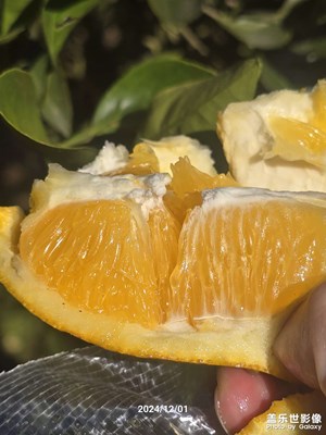 哈，??的果子